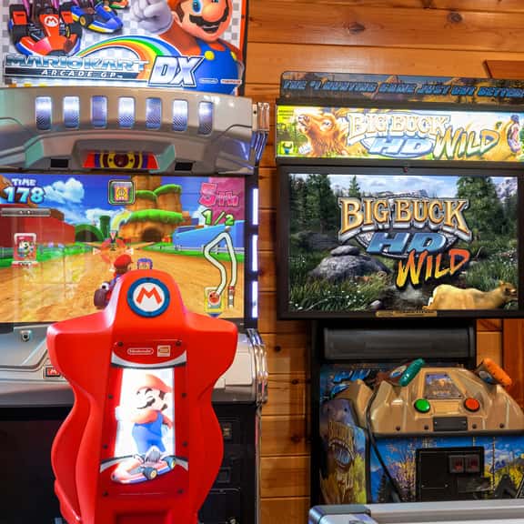 Private game room with Mario Kart and Big Buck Hunter arcade fun